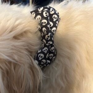 Dog/cat Collar Skulls Bowl Black & White Emo Dog Style Adjustable Cloth